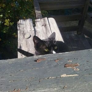 Meet your Posher, Kimberley